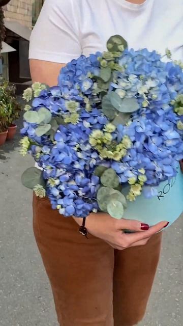 Гортензия Блю Шокинг с эвкалиптом в коробке #цветымос? смотреть онлайн