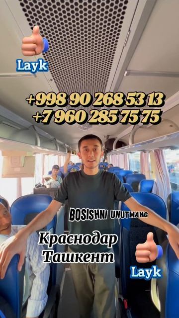 Автобус Краснодар Ташкент Ростов Ташкент/Волгоград Т? смотреть онлайн