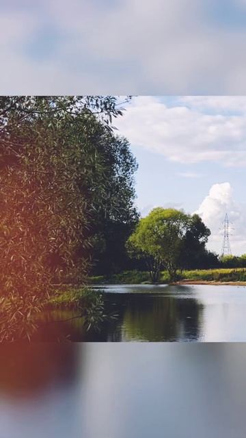Фото живой природы смотреть онлайн