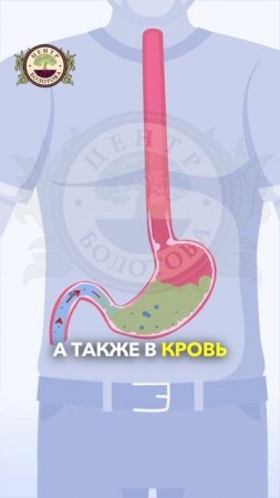 Токсины, воспаление и густая кровь — скрытые последствия проблем с ЖКТ