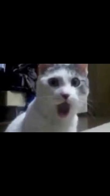 Ты точно здесь есть 🤣🤣🤣 смотреть онлайн