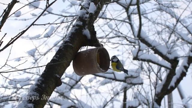 31 Января Афанасьев День. Опасность в этот праздник гро