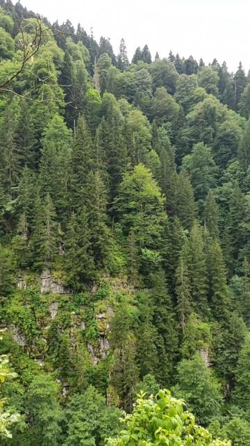 В горах на разной высоте разная температура, меняются смотреть онлайн