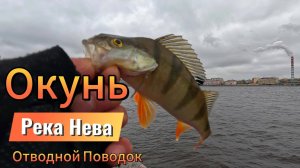 МЕСТА ЛОВА ОКУНЯ НА НЕВЕ ХОЖУ И ЛОВЛЮ ОКУНЯ НА ОТВОД ПО СВОИМ ТОЧКАМ ОТМЕЧАНЫХ НА КАРТЕ НЕВА РАЗДАЁТ