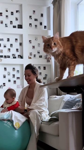 Дзен Мамы❤️Нам полгода😍 Здесь вы найдете вдохновен? смотреть онлайн