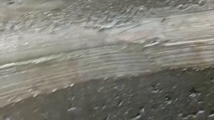 Ст. Родные просторы. В колодце молочная вода, причины. podkapaev.ru
