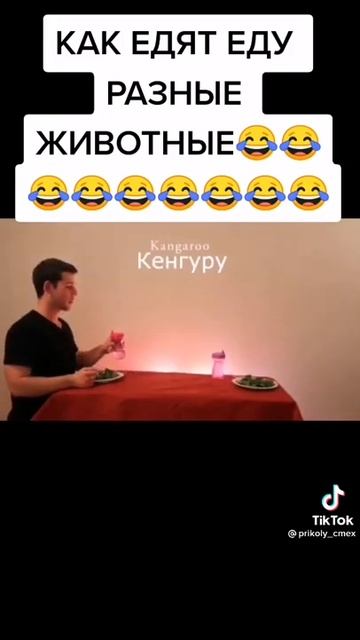 Как едят разные животные #shorts #юмор #лучшее #хочуврек #? смотреть онлайн
