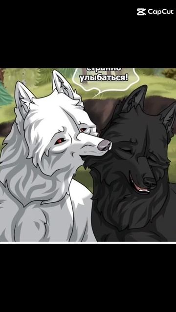 у черники есть тигр 😱😱😱😱 смотреть онлайн