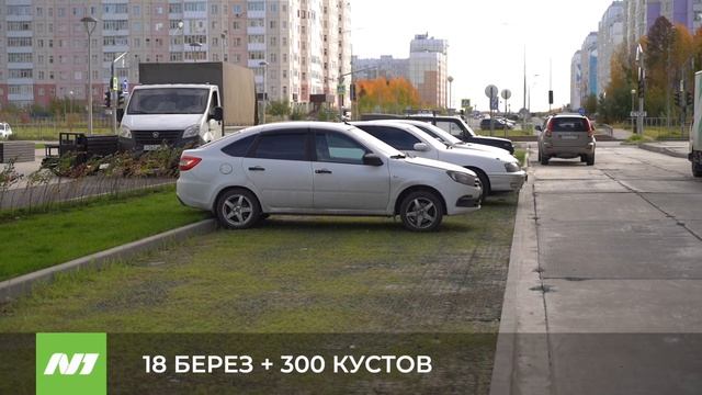 18 БЕРЕЗ + 300 КУСТОВ смотреть онлайн