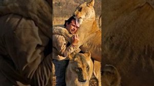 Молитва за больных животных