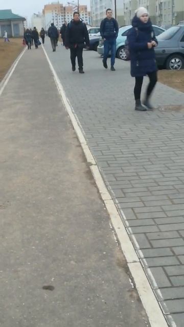 Ели ходит смотреть онлайн