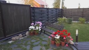 Обзор огорода, цветов, теплиц 15 сентября.