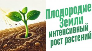 Улучшение плодородия почвы.