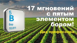 Пятый элемент, таинственный бор. Два профессора, два доктора биологических наук