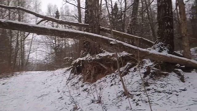 Стоят березы на бугре... смотреть онлайн