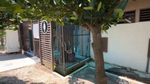 ПЛЯЖИ в Куала-Лумпуре | Порт Диксон 🌊