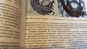 Биология 10/Теремов/Тема 13.Цитоплазма и одномембранные