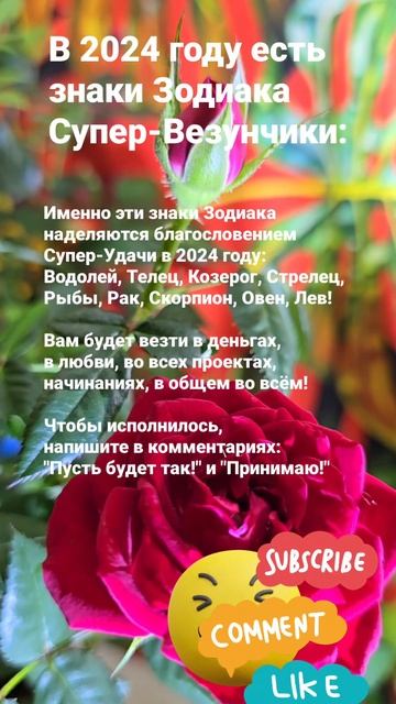 В 2024 году есть знаки Зодиака Супер-Везунчики!  / 5325 смотреть онлайн