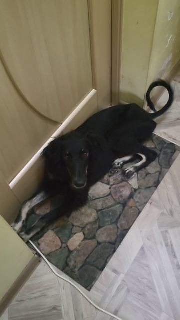 гены есть гены смотреть онлайн