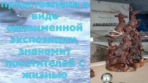 Этнографическая коллекция «Люди моря» - 2
Светлогорск. Калининградская обл.
