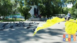 Единый час духовности. Голубь мира.