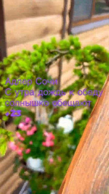 30 мая 2023 Адлер Сочи село Черешня- погода утром дождь ☔ смотреть онлайн