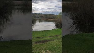 09-05-2025 Рыбалка на кружки.