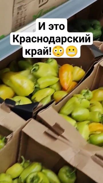 И это Краснодарский край! Жесть!😳😬 #блогер #путешест? смотреть онлайн