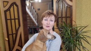 А где спит Ваша собака?