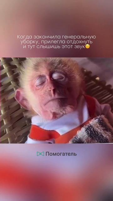 Делегируйте домашние хлопоты 👉🏻 Помогатель.ру 🫶🏻@