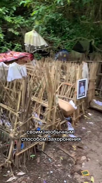 Деревня мepтвых на #бали #неизвестнаяистория #факты #до?