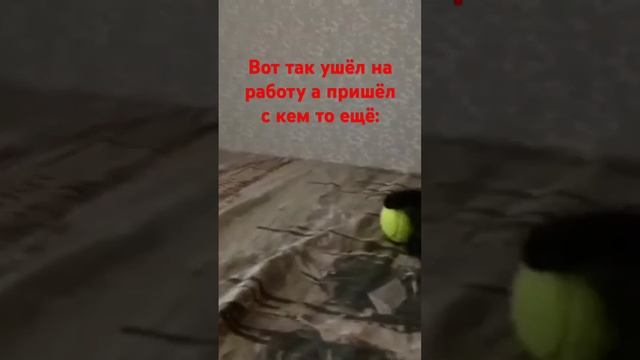 полное имя есть в оригинале смотреть онлайн