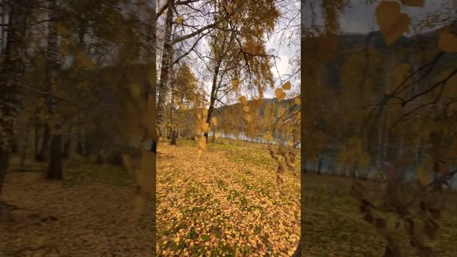 #свет #любви #🤍 #шум #берёз #🍂 #алтай #🏔️ смотреть онлайн