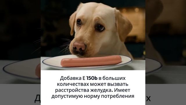 Пищевая добавка Е150b | Food additive E 150b #еда #food #продукты