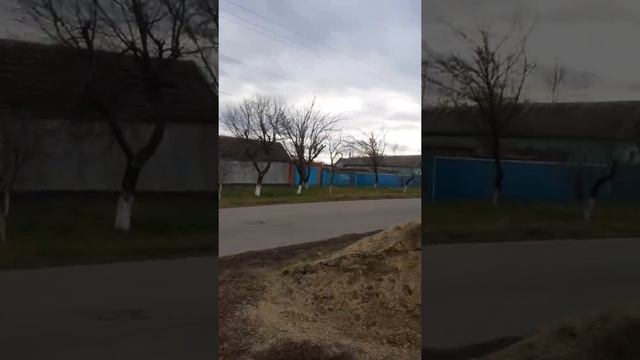 и на юге есть  елочки смотреть онлайн