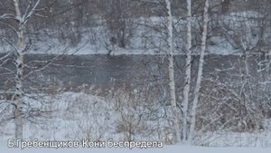 Б.Гребенщиков-Кони беспредела