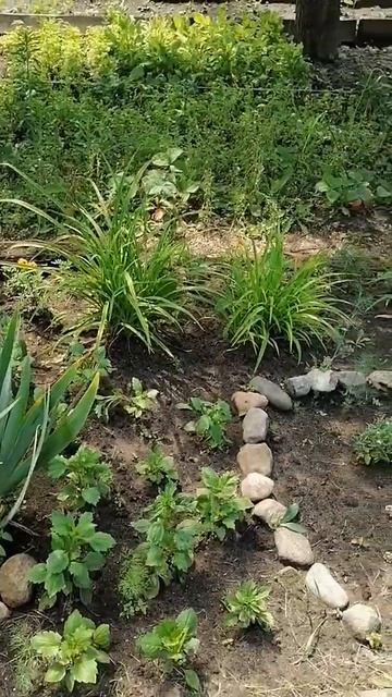 Ночь, а может быть падает снег смотреть онлайн