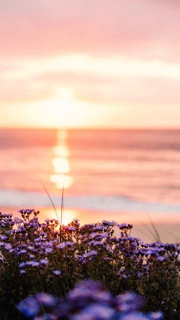 Ты решаешь, быть ли счастливым...#мысли #саморазвитие #ш смотреть онлайн