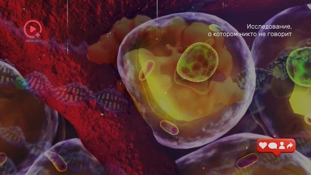 Исследование, о Котором Никто не Говорит | Связь музык? смотреть онлайн