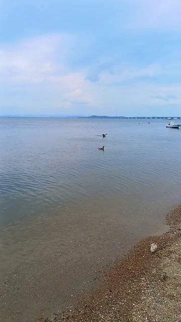 Катание на сапе понравилось всё-таки#владивосток #при? смотреть онлайн