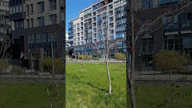 Петергофское шоссе