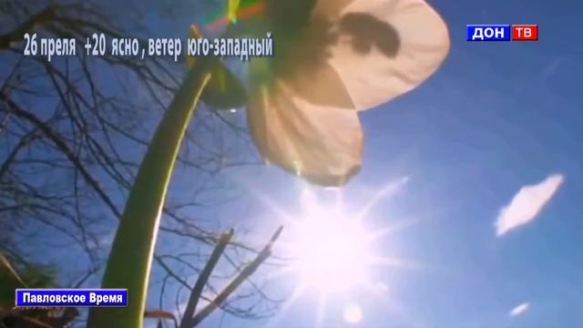 Погода 23-24.04.2016. г. Павловск Воронежской обл. смотреть онлайн