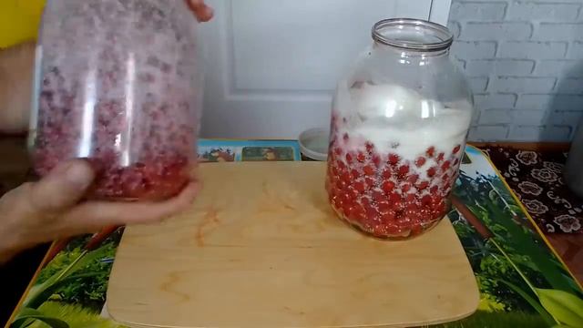 Вишневая наливка. бабушкина рецепт
