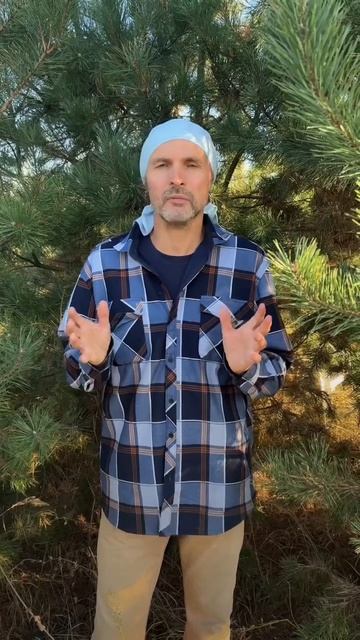 Сколько времени нужно для создания многосортового де? смотреть онлайн