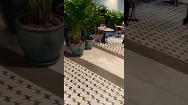 Есть ли новогодняя атмосфера в Дубае? 🎄✨ Проверяем в смотреть онлайн