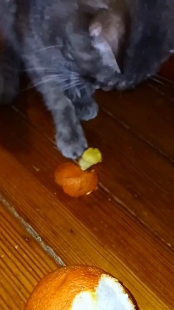 Helene eats an orange / Хелен ест апельсин смотреть онлайн
