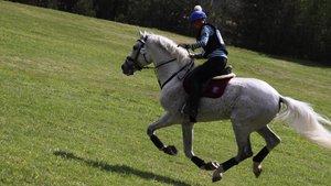 Кросс CCN3*/4* и CCN3*-S / МЕЖДУНАРОДНЫЕ СОРЕВНОВАНИЯ ПО ТРОЕБОРЬЮ