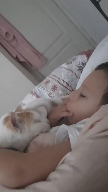 а как ваш спит ребёнок?есть ли у него любимый питомец? смотреть онлайн