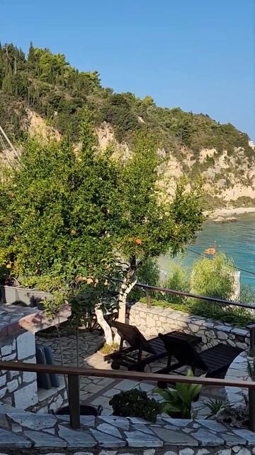 Как растут гранаты в Греции? 🇬🇷 смотреть онлайн