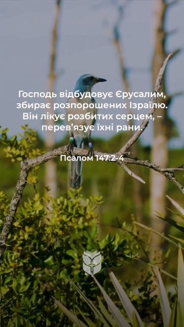 Він лікує розбитих серцем, – перев’язує їхні рани... П? смотреть онлайн